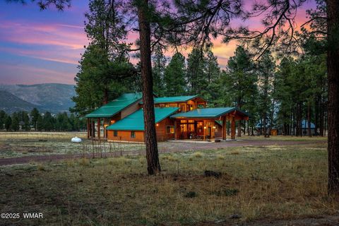 Tiny photo for 7A County Road N2312, Alpine, AZ 85920 (MLS # 255807)
