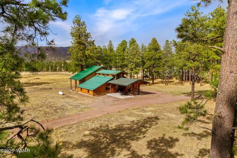 Tiny photo for 7A County Road N2312, Alpine, AZ 85920 (MLS # 255807)
