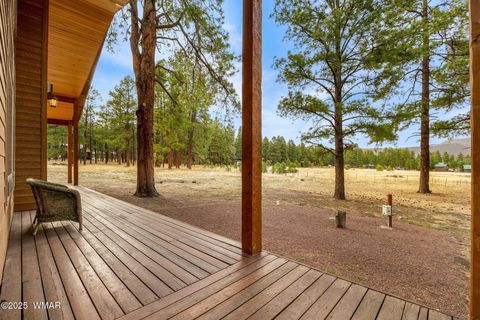 Tiny photo for 7A County Road N2312, Alpine, AZ 85920 (MLS # 255807)