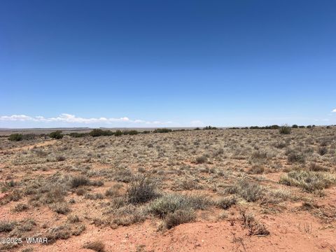 Tiny photo for 8492-A Holly Trail, Snowflake, AZ 85937 (MLS # 258811)