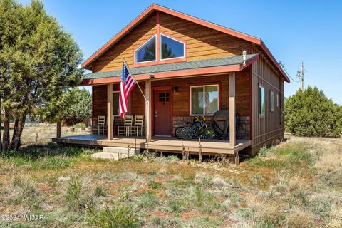 Photo of 2751 Pine View Court, Overgaard, AZ 85933 (MLS # 254777)