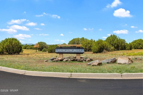 Tiny photo for 1061 S Lorenzo Sitgreaves Drive, Show Low, AZ 85901 (MLS # 262599)