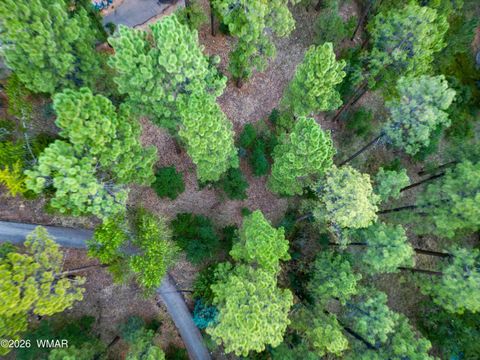 Tiny photo for 2200 W Whispering Springs Road, Show Low, AZ 85901 (MLS # 260028)