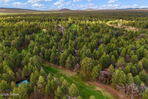 Tiny photo for 3530 Soaring Eagle Way, Pinetop, AZ 85935 (MLS # 255935)