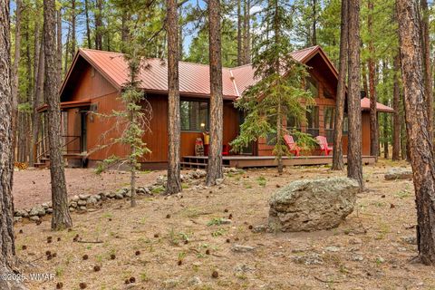 Tiny photo for 4 County Road 2089, Alpine, AZ 85920 (MLS # 257514)