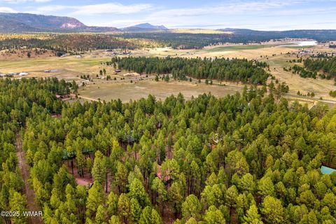 Tiny photo for 4 County Road 2089, Alpine, AZ 85920 (MLS # 257514)