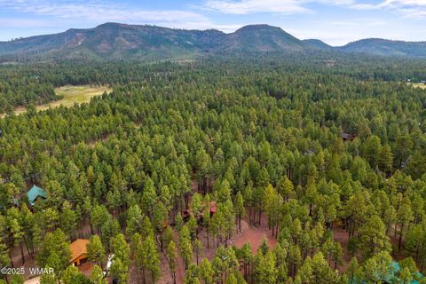 Tiny photo for 4 County Road 2089, Alpine, AZ 85920 (MLS # 257514)