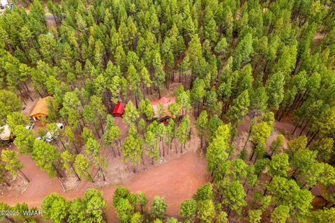 Tiny photo for 4 County Road 2089, Alpine, AZ 85920 (MLS # 257514)