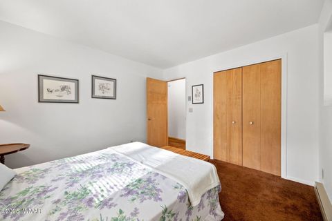 Tiny photo for 4 County Road 2089, Alpine, AZ 85920 (MLS # 257514)
