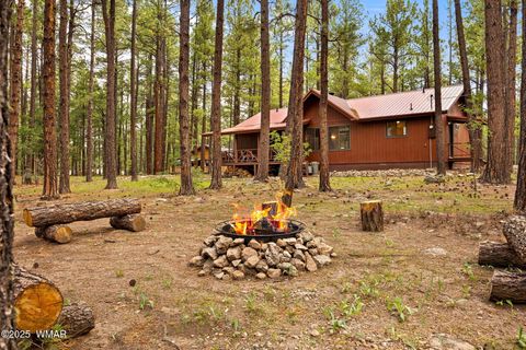 Tiny photo for 4 County Road 2089, Alpine, AZ 85920 (MLS # 257514)