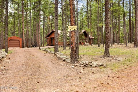 Tiny photo for 4 County Road 2089, Alpine, AZ 85920 (MLS # 257514)