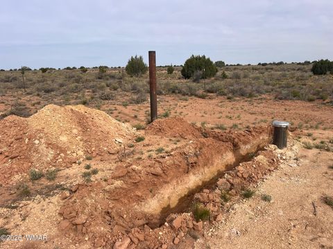 Photo of 010D N Ranch View Road, Snowflake, AZ 85937 (MLS # 259839)