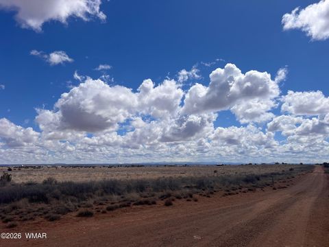 Tiny photo for 010D N Ranch View Road, Snowflake, AZ 85937 (MLS # 259839)