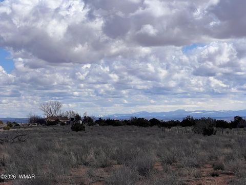 Tiny photo for 010D N Ranch View Road, Snowflake, AZ 85937 (MLS # 259839)