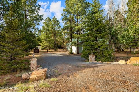 Tiny photo for 2236 Cross Country Road, Overgaard, AZ 85933 (MLS # 259848)