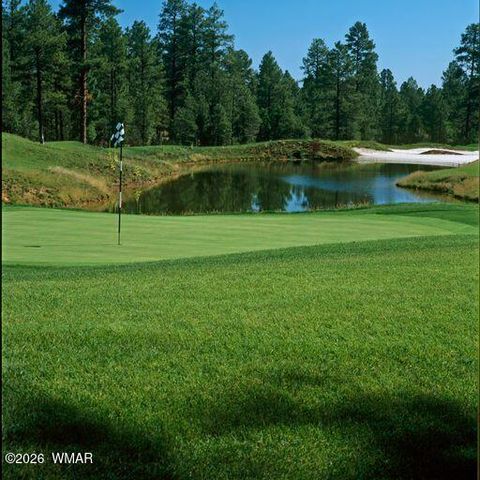 Tiny photo for 3604 W Torreon Court, Show Low, AZ 85901 (MLS # 260172)