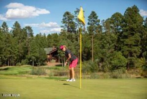 Tiny photo for 3604 W Torreon Court, Show Low, AZ 85901 (MLS # 260172)