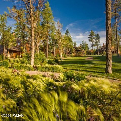 Tiny photo for 3604 W Torreon Court, Show Low, AZ 85901 (MLS # 260172)