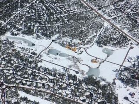 Tiny photo for 3604 W Torreon Court, Show Low, AZ 85901 (MLS # 260172)