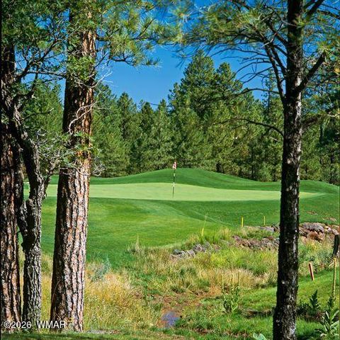 Tiny photo for 3604 W Torreon Court, Show Low, AZ 85901 (MLS # 260172)