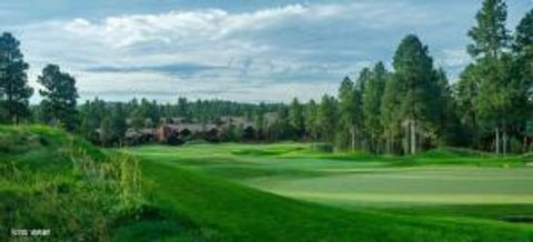 Tiny photo for 3604 W Torreon Court, Show Low, AZ 85901 (MLS # 260172)