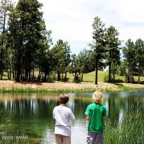 Tiny photo for 3604 W Torreon Court, Show Low, AZ 85901 (MLS # 260172)