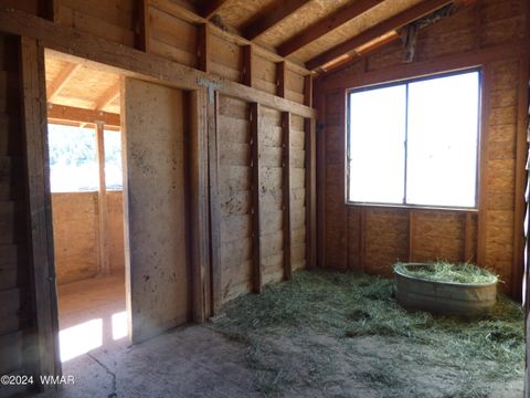 Tiny photo for 41451 Highway 180, Nutrioso, AZ 85932 (MLS # 257131)
