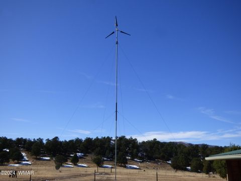 Tiny photo for 41451 Highway 180, Nutrioso, AZ 85932 (MLS # 257131)