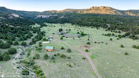 Tiny photo for 41451 Highway 180, Nutrioso, AZ 85932 (MLS # 257131)