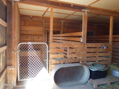 Tiny photo for 41451 Highway 180, Nutrioso, AZ 85932 (MLS # 257131)