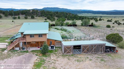 Tiny photo for 41451 Highway 180, Nutrioso, AZ 85932 (MLS # 257131)