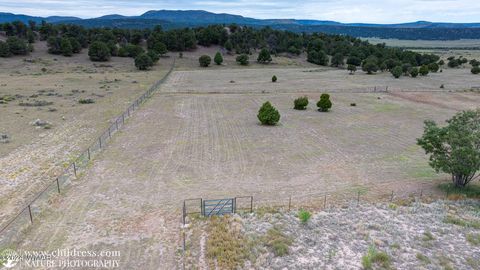 Tiny photo for 41451 Highway 180, Nutrioso, AZ 85932 (MLS # 257131)