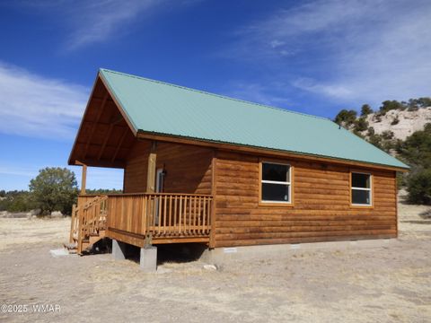 Tiny photo for 41451 Highway 180, Nutrioso, AZ 85932 (MLS # 257131)