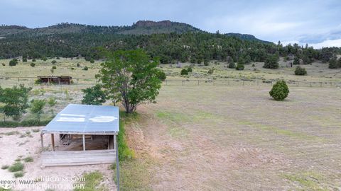 Tiny photo for 41451 Highway 180, Nutrioso, AZ 85932 (MLS # 257131)