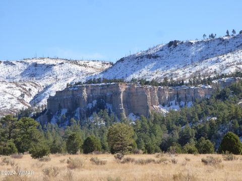 Tiny photo for 41451 Highway 180, Nutrioso, AZ 85932 (MLS # 257131)