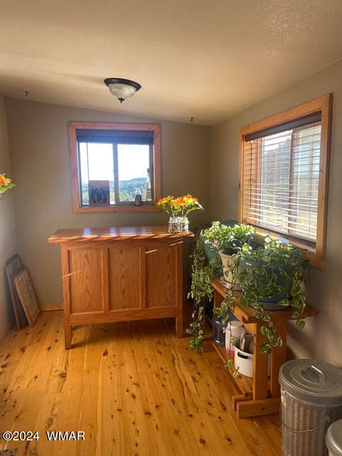 Tiny photo for 41451 Highway 180, Nutrioso, AZ 85932 (MLS # 257131)