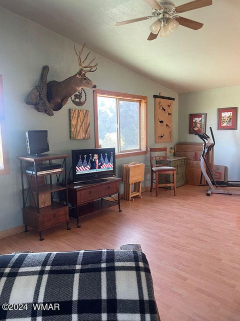 Tiny photo for 41451 Highway 180, Nutrioso, AZ 85932 (MLS # 257131)