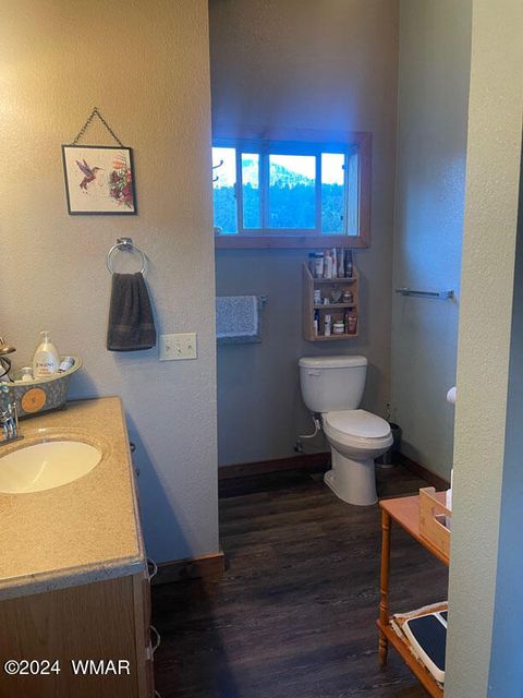 Tiny photo for 41451 Highway 180, Nutrioso, AZ 85932 (MLS # 257131)