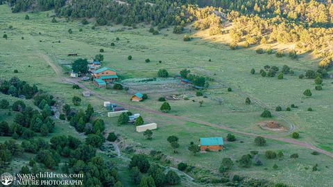 Tiny photo for 41451 Highway 180, Nutrioso, AZ 85932 (MLS # 257131)