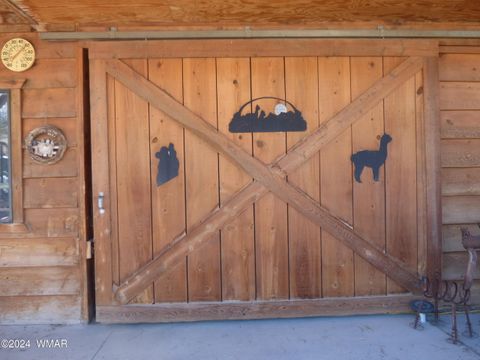 Tiny photo for 41451 Highway 180, Nutrioso, AZ 85932 (MLS # 257131)