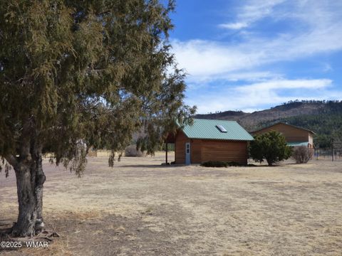 Tiny photo for 41451 Highway 180, Nutrioso, AZ 85932 (MLS # 257131)