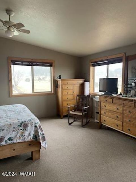 Tiny photo for 41451 Highway 180, Nutrioso, AZ 85932 (MLS # 257131)