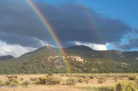 Tiny photo for 41451 Highway 180, Nutrioso, AZ 85932 (MLS # 257131)