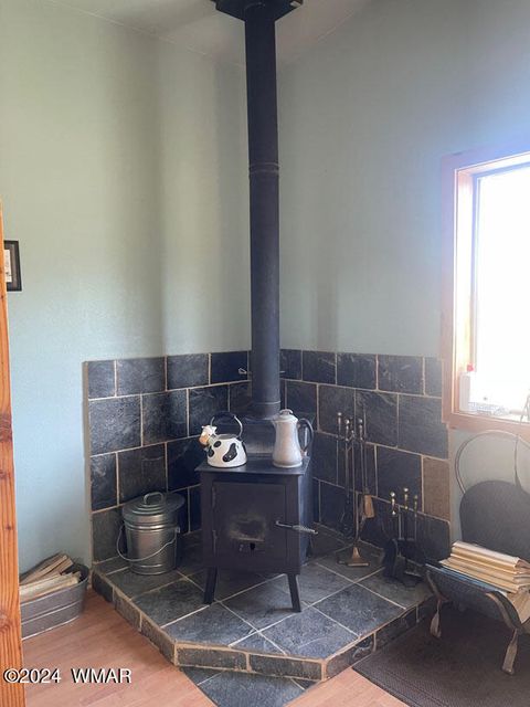 Tiny photo for 41451 Highway 180, Nutrioso, AZ 85932 (MLS # 257131)