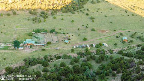 Tiny photo for 41451 Highway 180, Nutrioso, AZ 85932 (MLS # 257131)