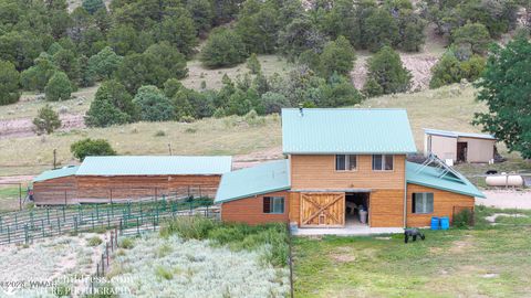 Tiny photo for 41451 Highway 180, Nutrioso, AZ 85932 (MLS # 257131)