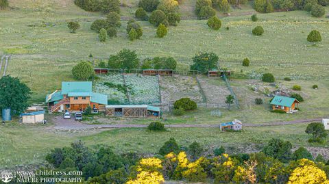 Tiny photo for 41451 Highway 180, Nutrioso, AZ 85932 (MLS # 257131)