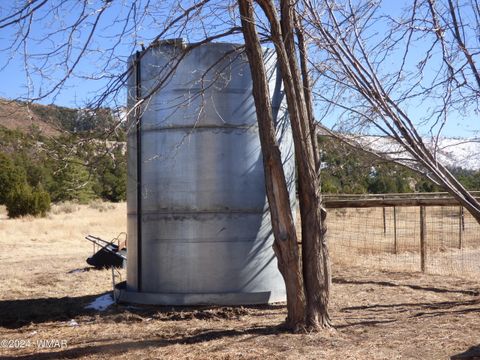 Tiny photo for 41451 Highway 180, Nutrioso, AZ 85932 (MLS # 257131)
