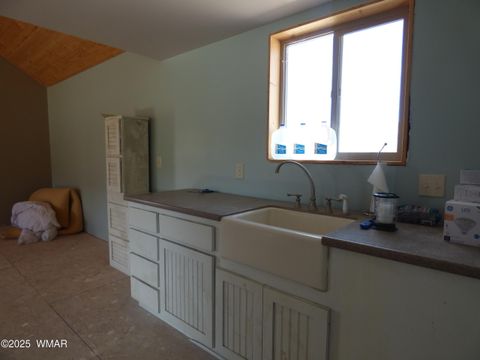 Tiny photo for 41451 Highway 180, Nutrioso, AZ 85932 (MLS # 257131)