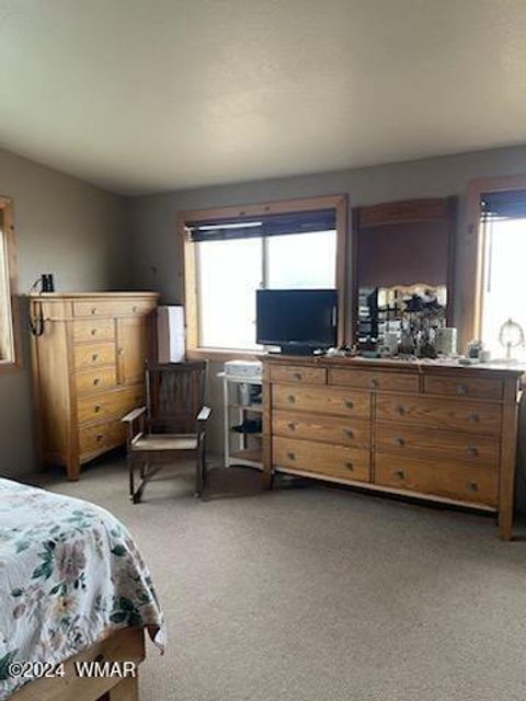 Tiny photo for 41451 Highway 180, Nutrioso, AZ 85932 (MLS # 257131)